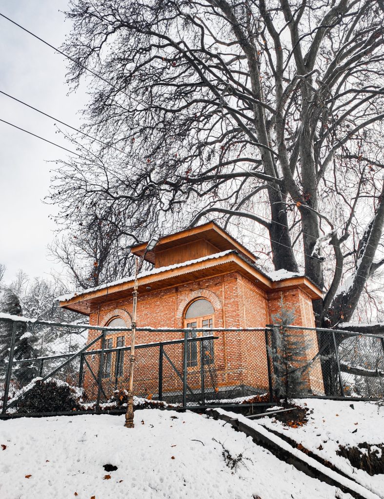 Brown Concrete Building Surrounded by Bare Trees